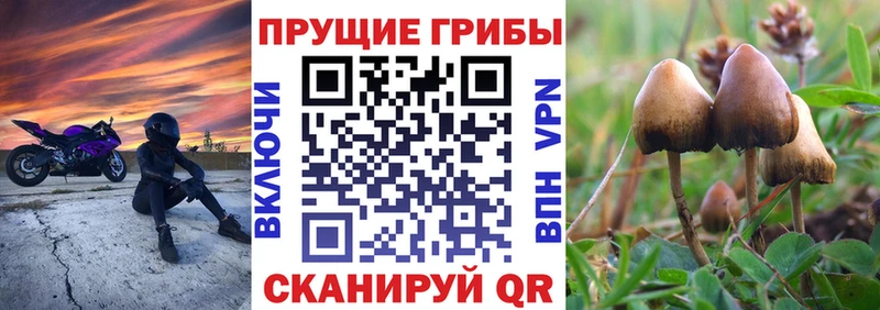 OMG как войти  хочу наркоту  Усинск  Галлюциногенные грибы Magic Shrooms 